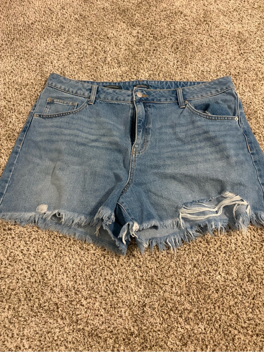 wild fable Light Blue Distressed High-Rise Denim Shorts
